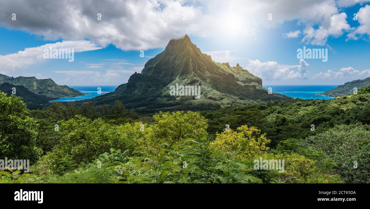 Panorama-Berglandschaft mit Cook`s Bay und Opunohu Bay auf der tropischen Insel Moorea, Französisch-Polynesien. Stockfoto